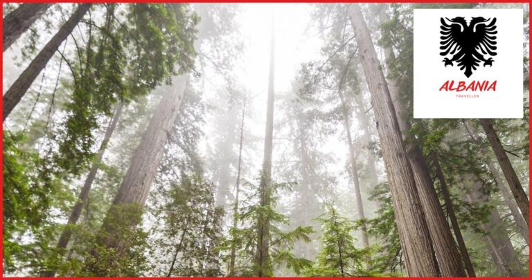 Exploring Albania's National Parks: From Theth to Llogara Exploring Albania’s National Parks: From Theth to Llogara